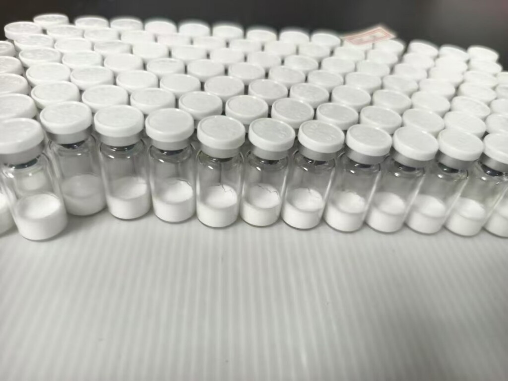 WhatsApp Image 2024-08-28 at 09.46.38